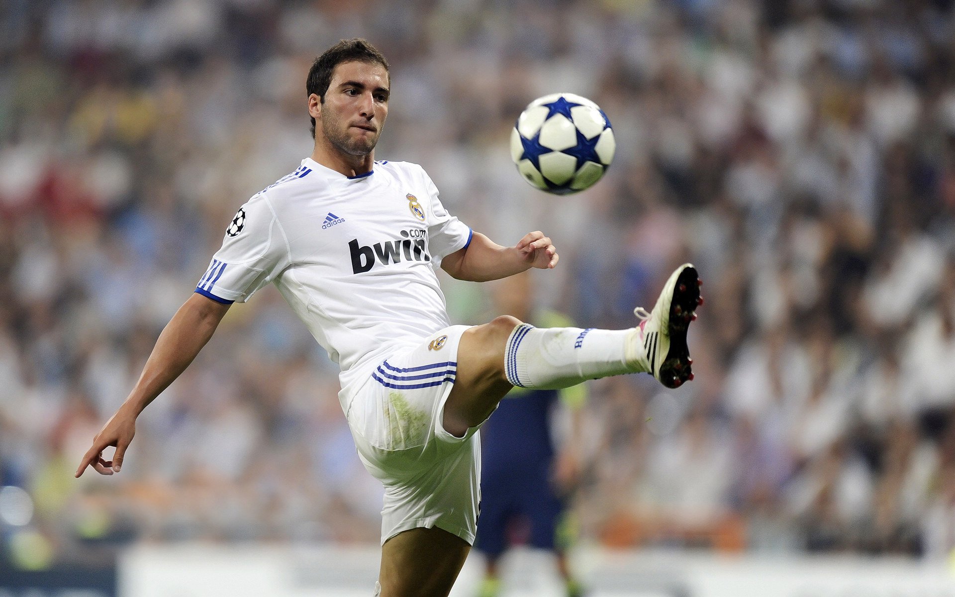 贝尔哈德·福特:场上决策能力让全黑队进攻更加精准,贝尔福特现如今的妻子