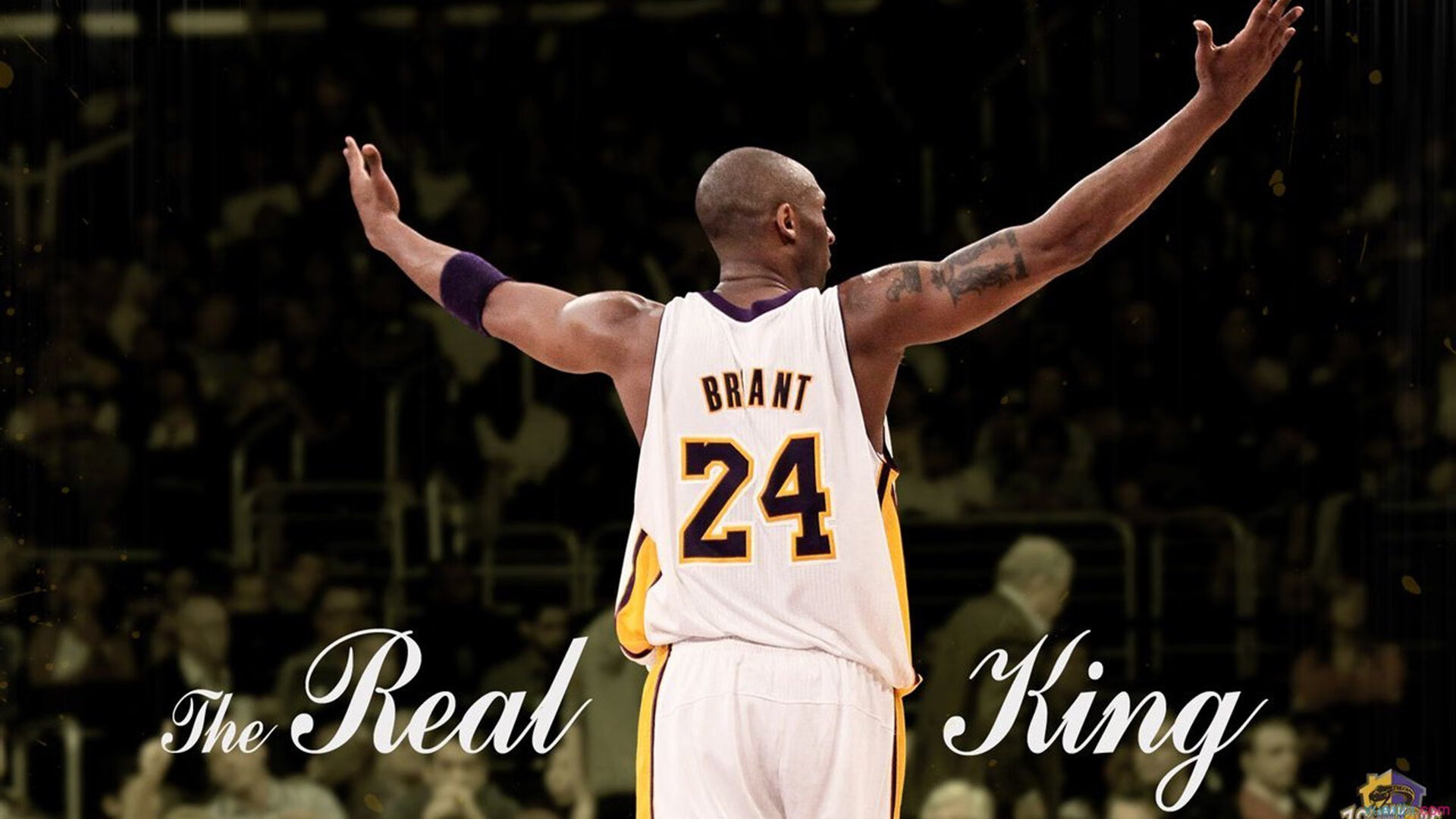 爱游戏娱乐网址-道格拉斯精准转身成比赛胜负关键，nba道格拉斯